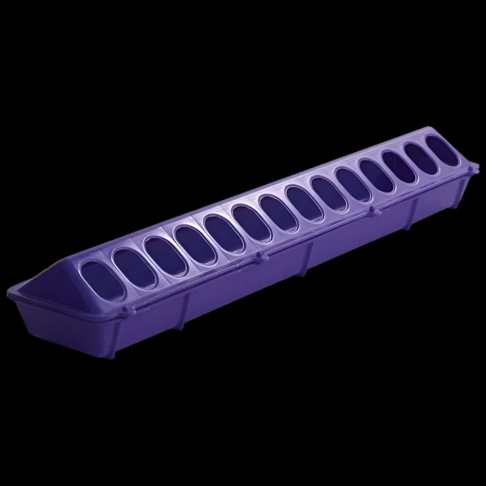 Little Giant Plastic Poultry Feeder - Purple