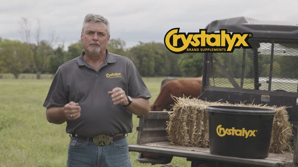 Crystalyx Mineralyx - GAR - Bio Barrel