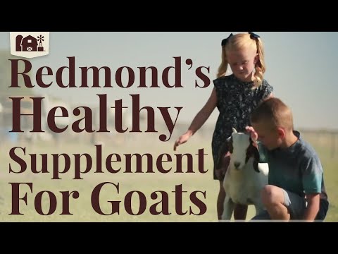Redmond Goat Mineral Rock on Rope