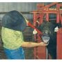 Calf Catcher Hook  - Orange