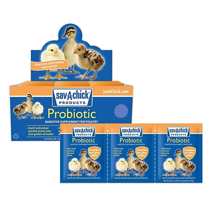Chick Probiotic Supplement Strip - 3 Count